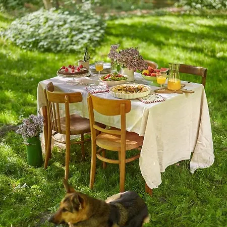 Dobry Zaczyn Mlyn Guest house