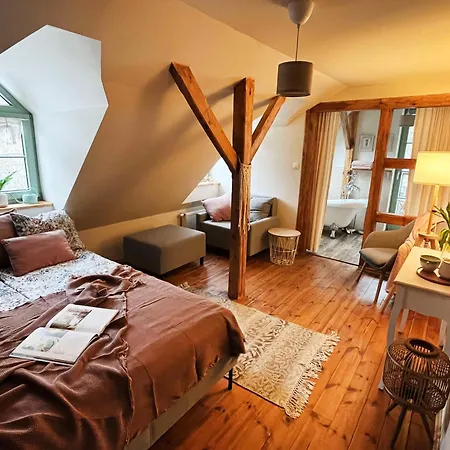 Gasthuis Dobry Zaczyn Mlyn 3*