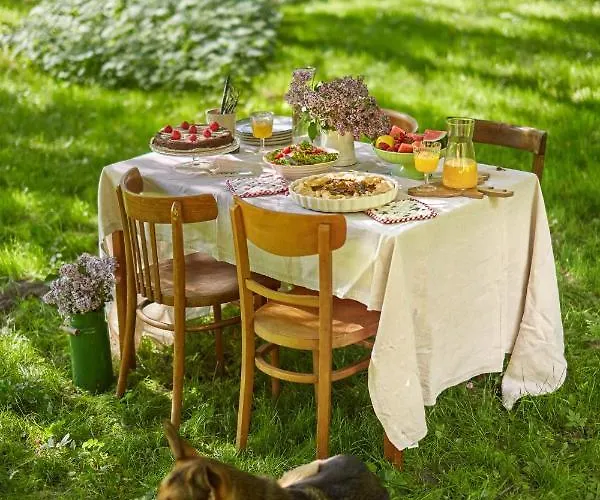 Dobry Zaczyn Mlyn Гостевой дом