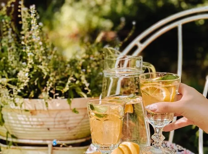 Гостевой дом Dobry Zaczyn Mlyn Tomaryny