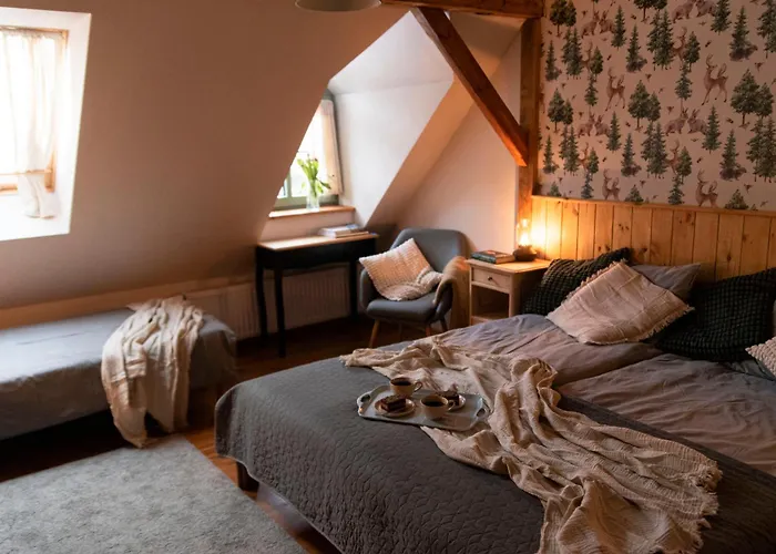 Dobry Zaczyn Mlyn Гостевой дом