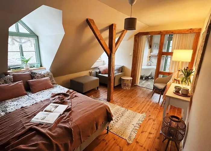 Гостевой дом Dobry Zaczyn Mlyn 3*